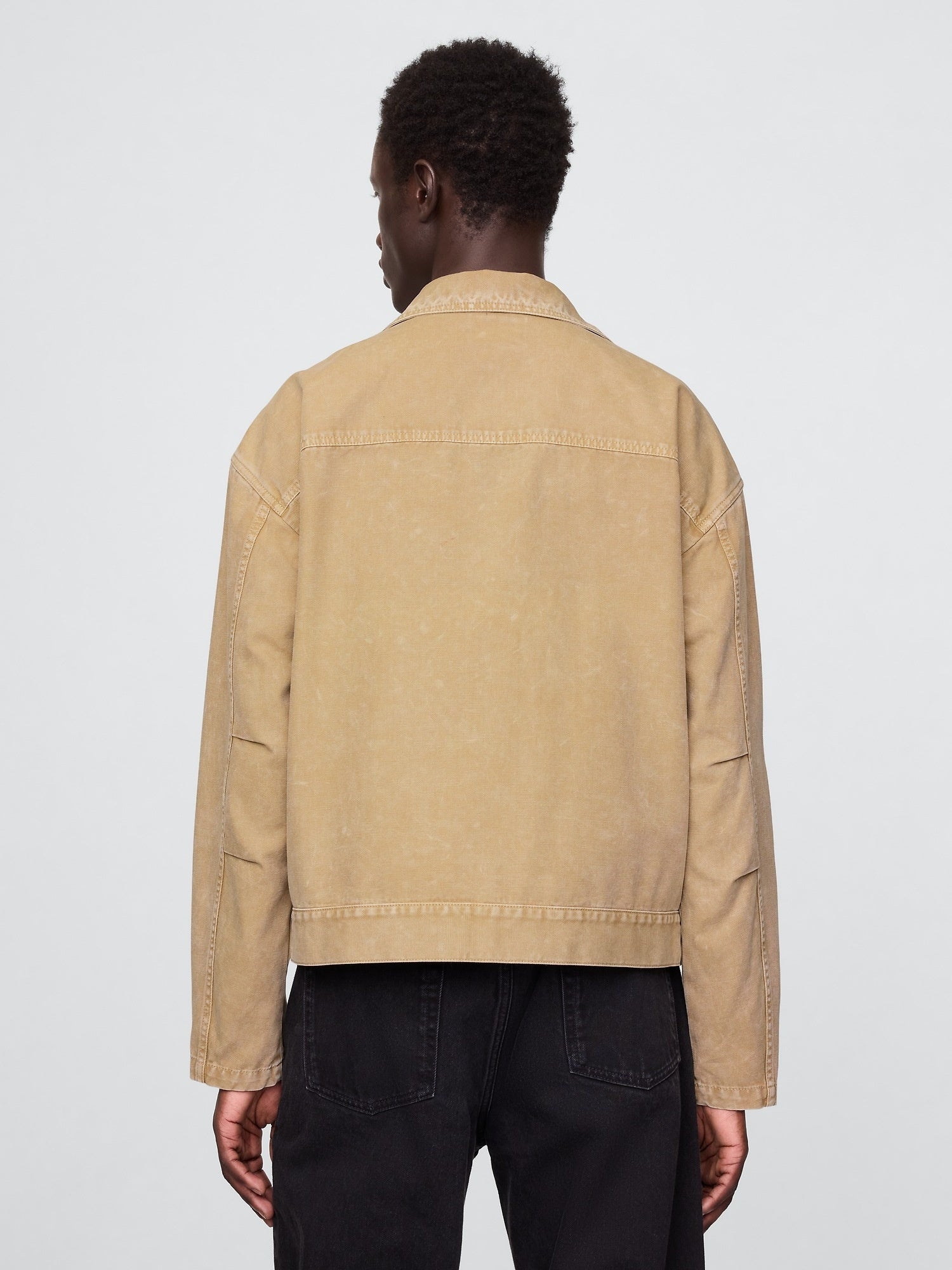 Minimalist mojave suede moto jacket